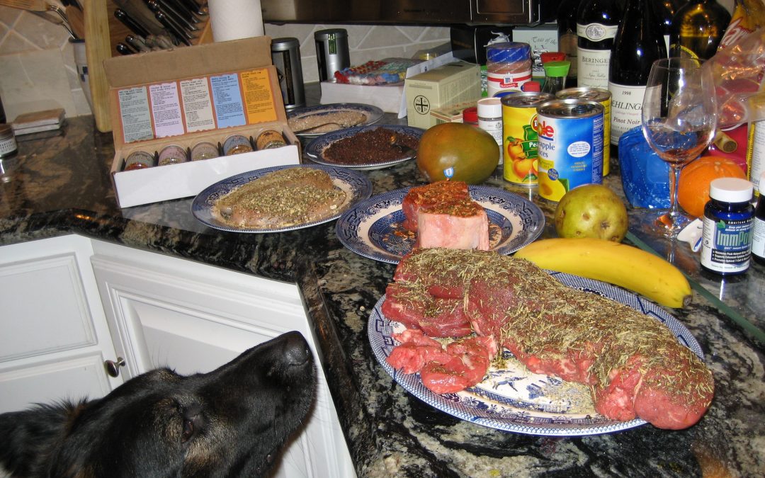 Dog sniffing seasoned steaks on kitchen counter